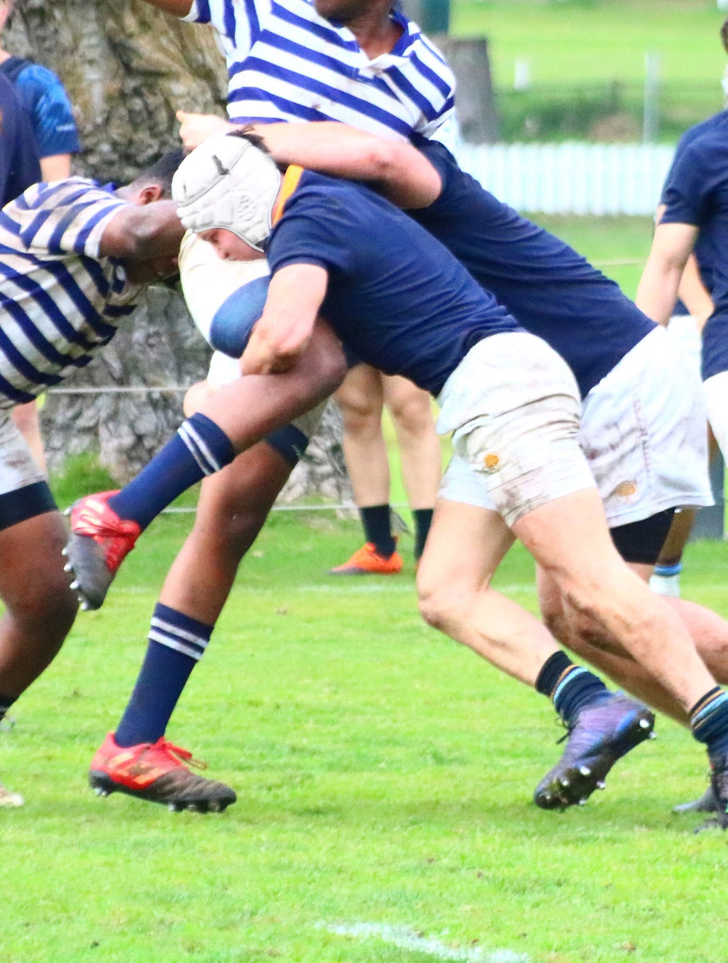 Rugby Scrum Cap - White Border