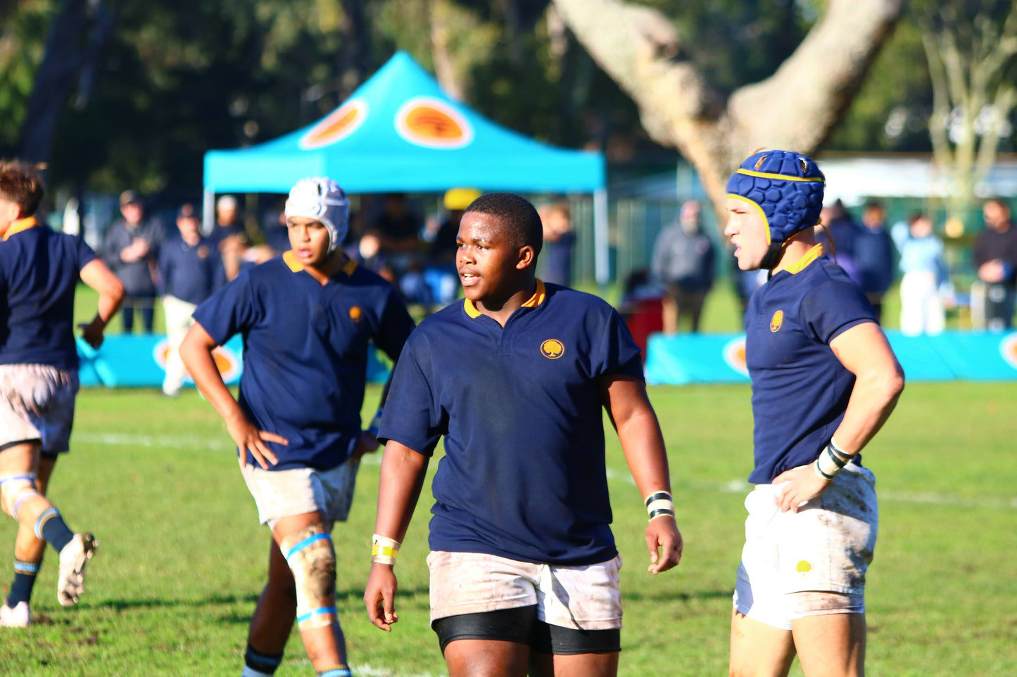 Rugby Scrum Cap - Navy/Gold