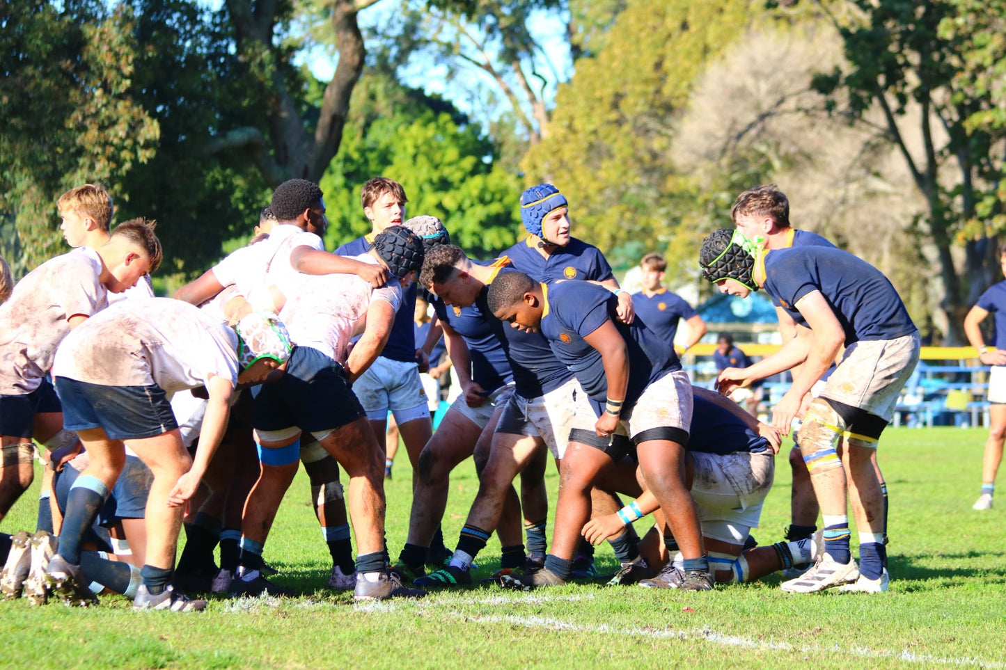 Rugby Scrum Cap - Navy/Gold